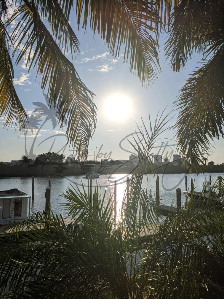 Clearwater, FL