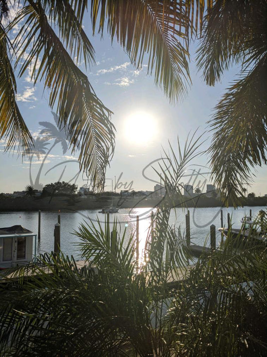 Clearwater, FL